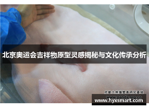 北京奥运会吉祥物原型灵感揭秘与文化传承分析